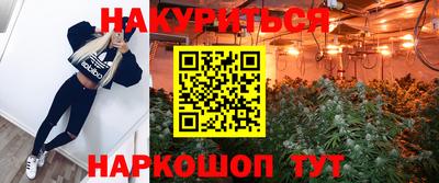 ешки Будённовск