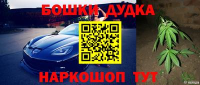 ешки Будённовск