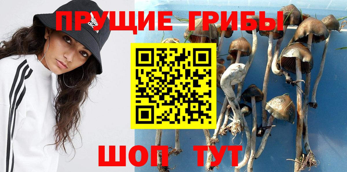 Псилоцибиновые грибы мухоморы  Галлюциногенные грибы MAGIC MUSHROOMS  Вход с VPN  Мариинск 